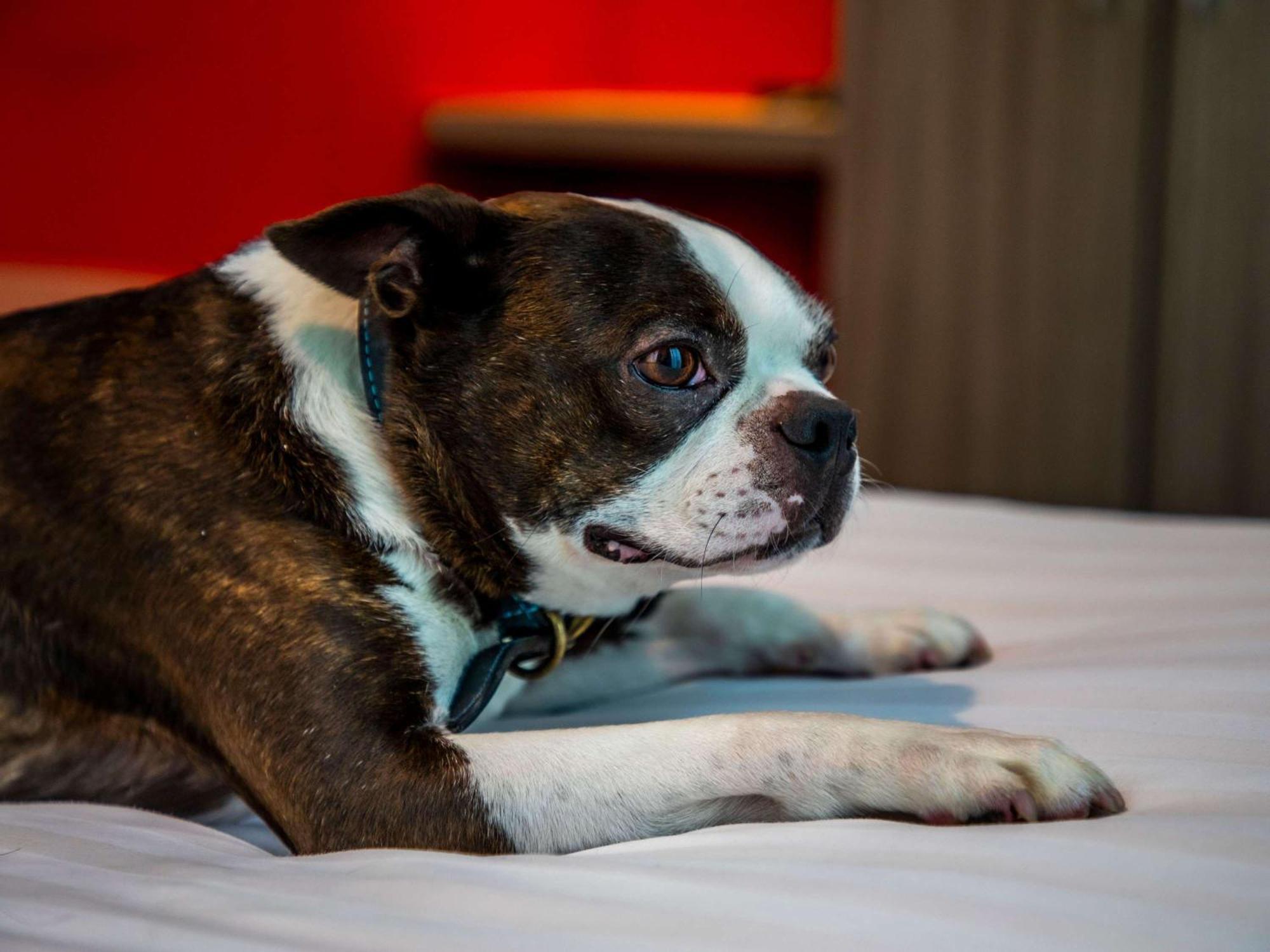 Ibis Styles Glasgow Central Bagian luar foto