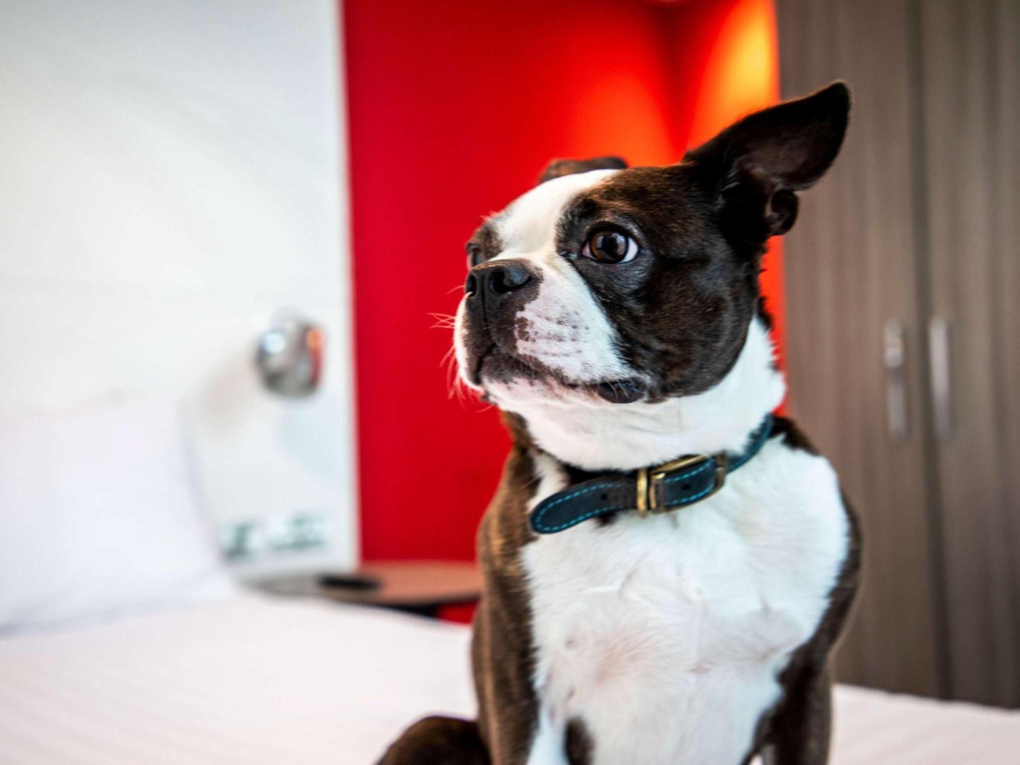 Ibis Styles Glasgow Central Bagian luar foto